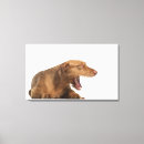 Search for yawning canvas prints Studio shot