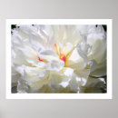Search for bold pink art Graphic
