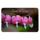 Search for bleeding magnets Pink