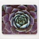 Search for close up mouse mats Purple