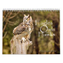 Search for bald office supplies Hawk
