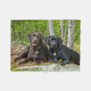 Search for black labrador blankets Pets
