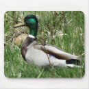 Search for drake electronics Waterfowl