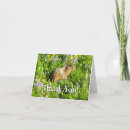 Search for marmot cards Nature