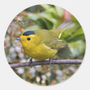 Search for warbler stickers Yellow