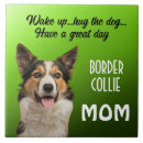 Search for border collie tiles Pet