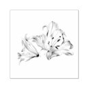 Search for botanical rubber stamps Chic