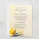Search for tropical paradise invitations Exotic