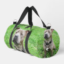 Search for purebreds bags Pet