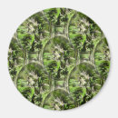 Search for green grey magnets Geometric