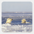Search for endangered animal stickers Global warming