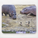Search for hippo mouse mats Wildlife