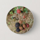 Search for blackberry badges Summer