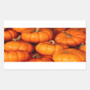 Search for squash stickers Gourd