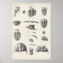Search for explanation art Page