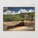 Search for rushing postcards Nature