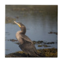 Search for seaside tiles Nature