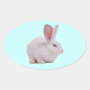 Search for bunny oval stickers Easter