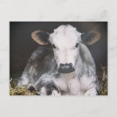 Search for cropped postcards Animals