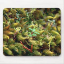 Search for mosses mouse mats Earth