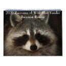 Search for raccoon calendars Wildlife