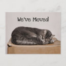 Search for moving boxes invitations Cat