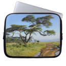 Search for acacia electronics Kenya