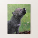 Search for wolf puzzles Mammal