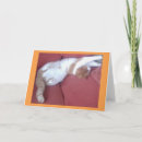 Search for lazy cards Cat