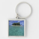 Search for barrier key rings Tropical