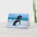 Search for rear cards Animal