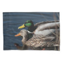 Search for duck pillowcases Swimming
