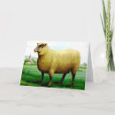 Search for pasture cards Sheep