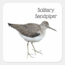Search for sandpiper stickers Shore