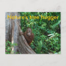 Search for tree hugger postcards Nature