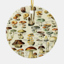 Search for mushroom christmas tree decorations Brown