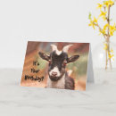 Search for barnyard animals birthday cards Farm