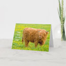 Search for highland cow birthday cards Hairy