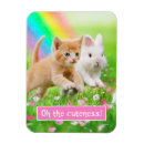 Search for friend easter cards Colourful