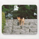 Search for passage mouse mats Nature