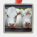 Search for agricultural christmas tree decorations Rural scene
