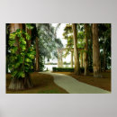 Search for feys posters Forest