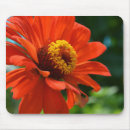 Search for orange daisy mouse mats Garden