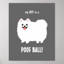 Search for pomeranian posters Funny