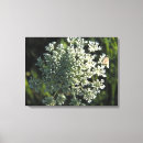 Search for flower pictures canvas prints Floral