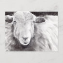 Search for graphite postcards Pencil