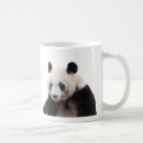 Search for giant bear mugs Panda