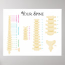 Search for column posters Chiropractic