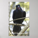 Search for funny wildlife posters Nature