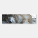 Search for wolfs bumper stickers Animals